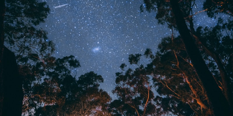 家庭用户在森林中使用EMC易倍露营装备享受星空露营的温馨场景