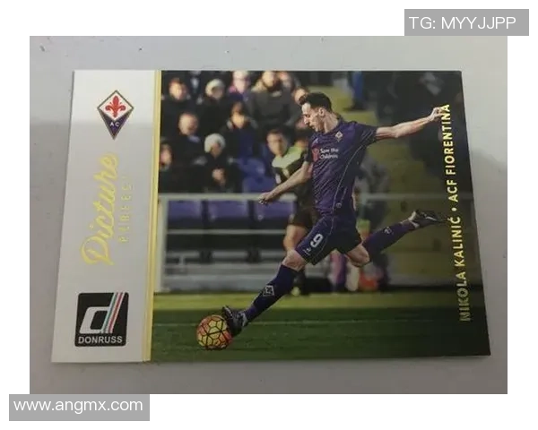 帕尼尼足球球星卡代签名收藏价值分析与市场趋势探讨