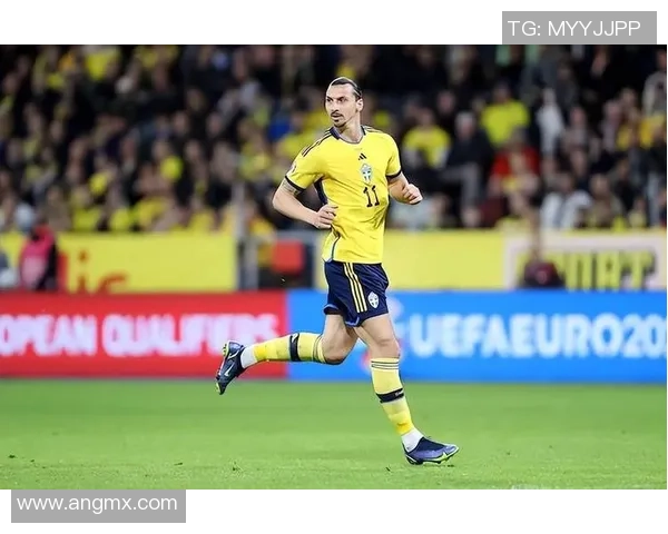 瑞典足球传奇球星回顾：从伊布到诺尔德费尔特的荣耀岁月